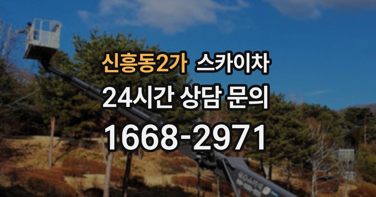 신흥동2가 스카이차