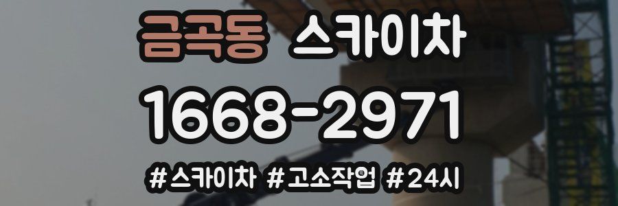 금곡동 스카이차