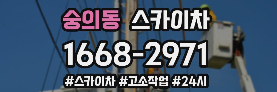 숭의동 스카이차