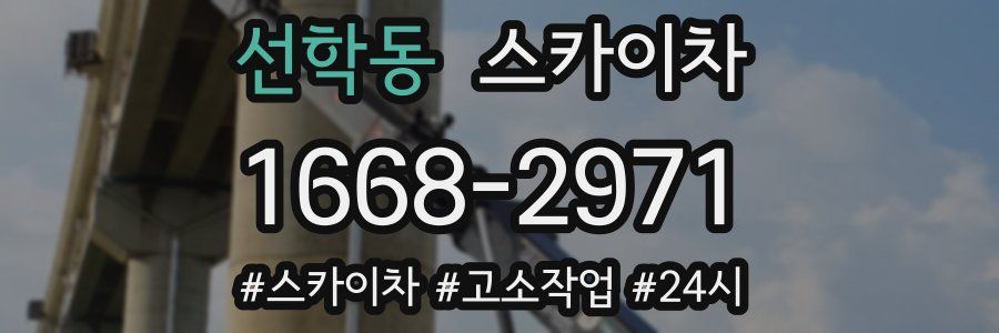 선학동 스카이차