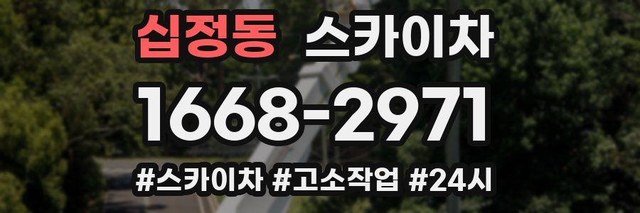 십정동 스카이차