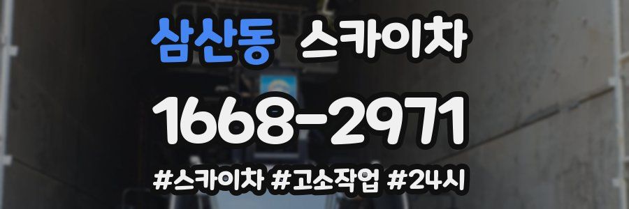 삼산동 스카이차