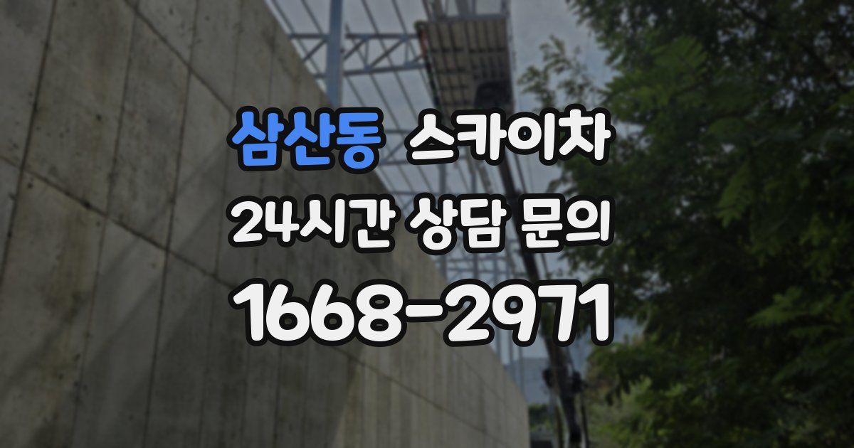 삼산동 스카이차