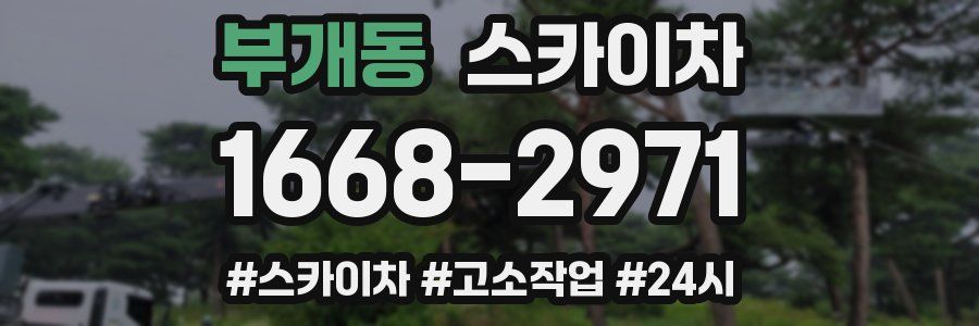 부개동 스카이차