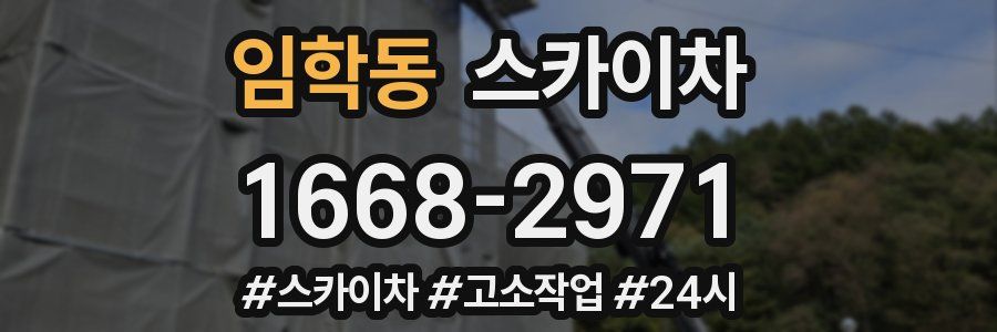 임학동 스카이차