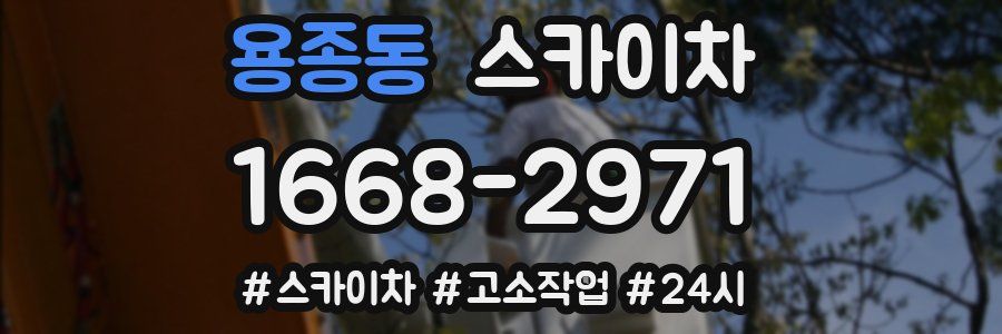 용종동 스카이차