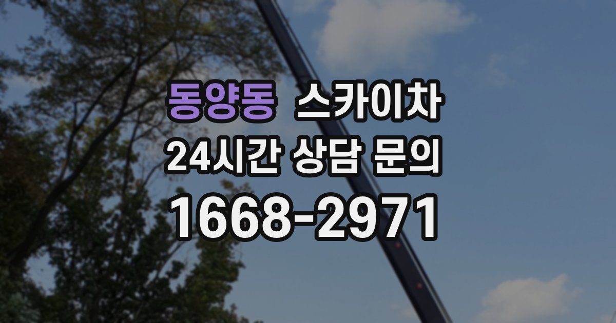 동양동 스카이차
