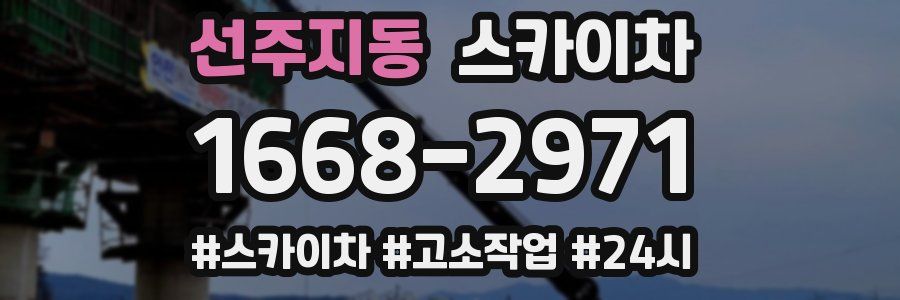 선주지동 스카이차