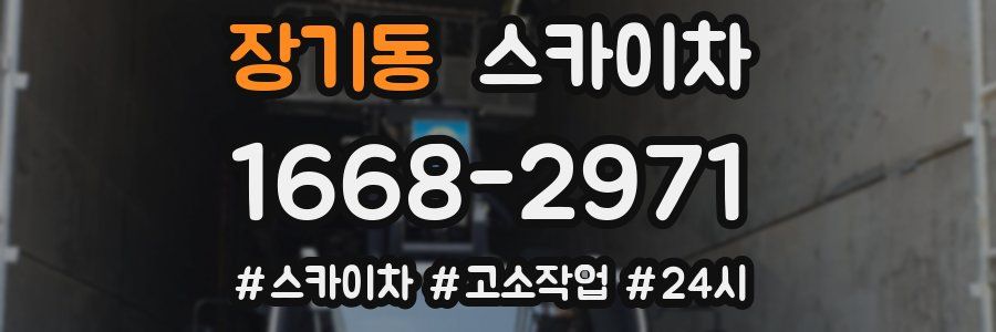 장기동 스카이차