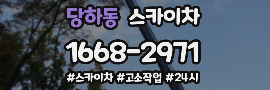 당하동 스카이차