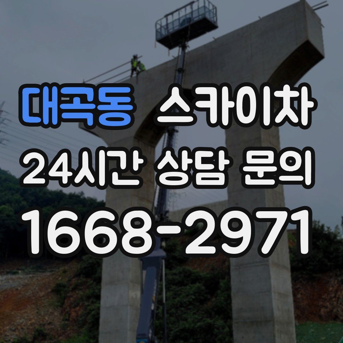 대곡동 스카이차 나무 가지 전정 작업에 활용하는 방법