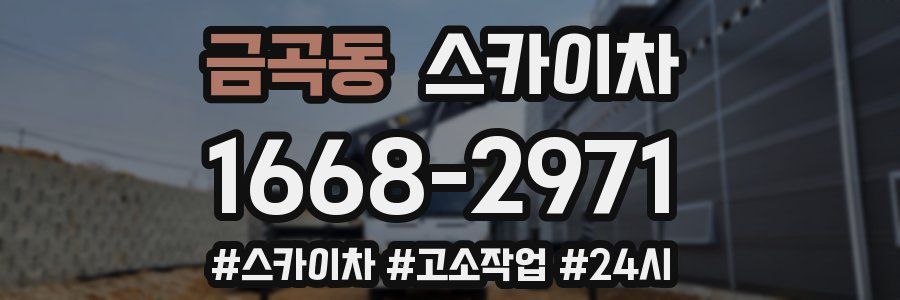 금곡동 스카이차