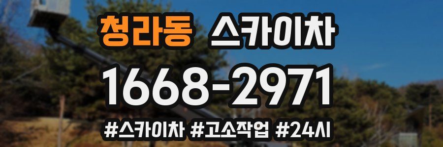 청라동 스카이차