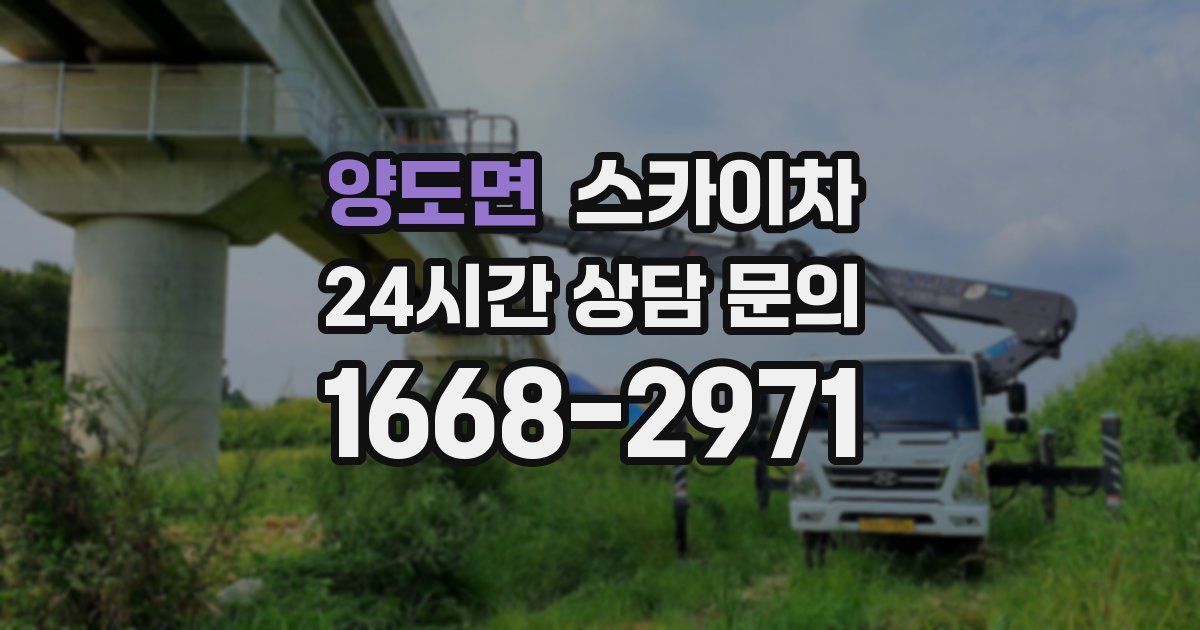 양도면 스카이차