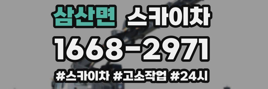 삼산면 스카이차