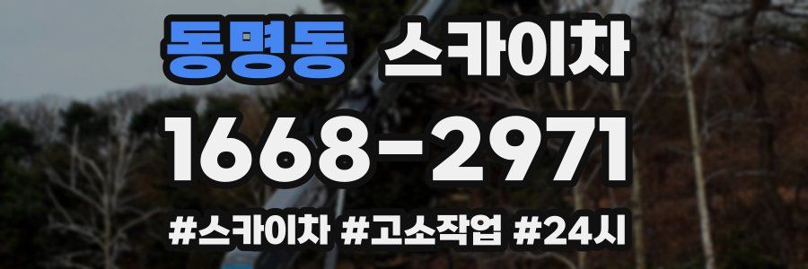 동명동 스카이차