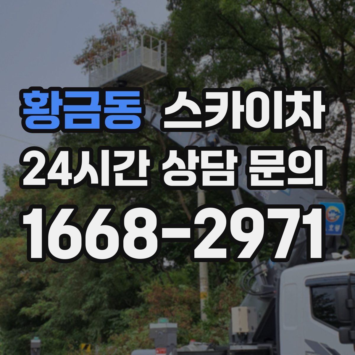 황금동 스카이차