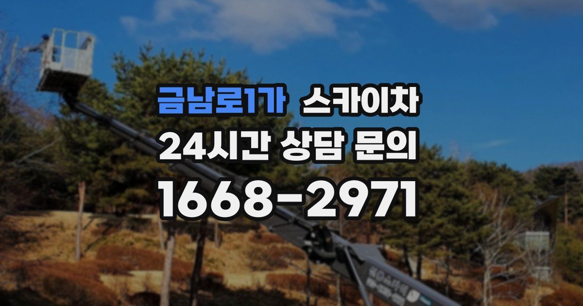 금남로1가 스카이차