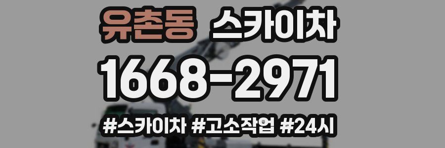 유촌동 스카이차