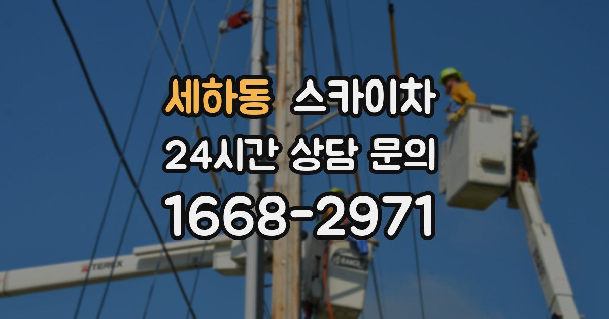 세하동 스카이차