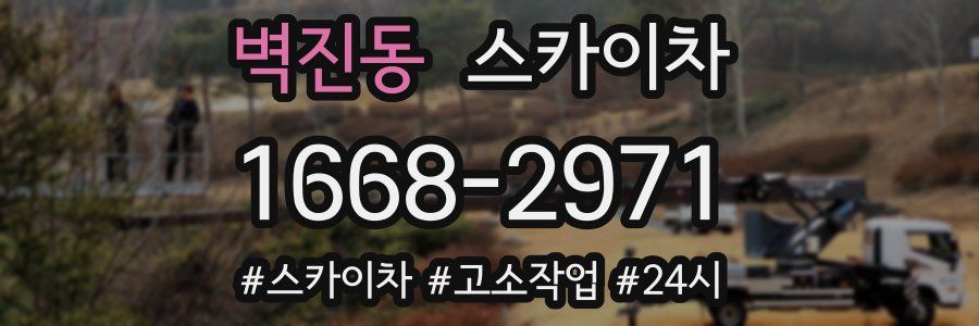 벽진동 스카이차