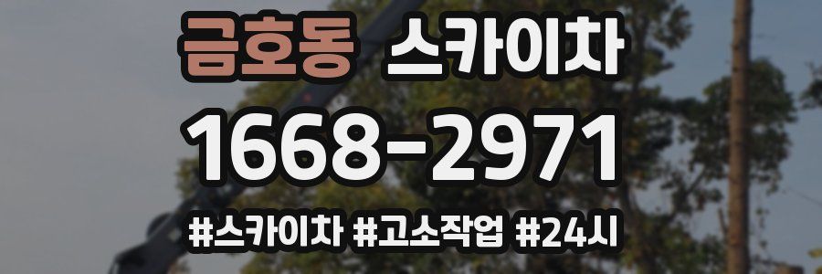 금호동 스카이차