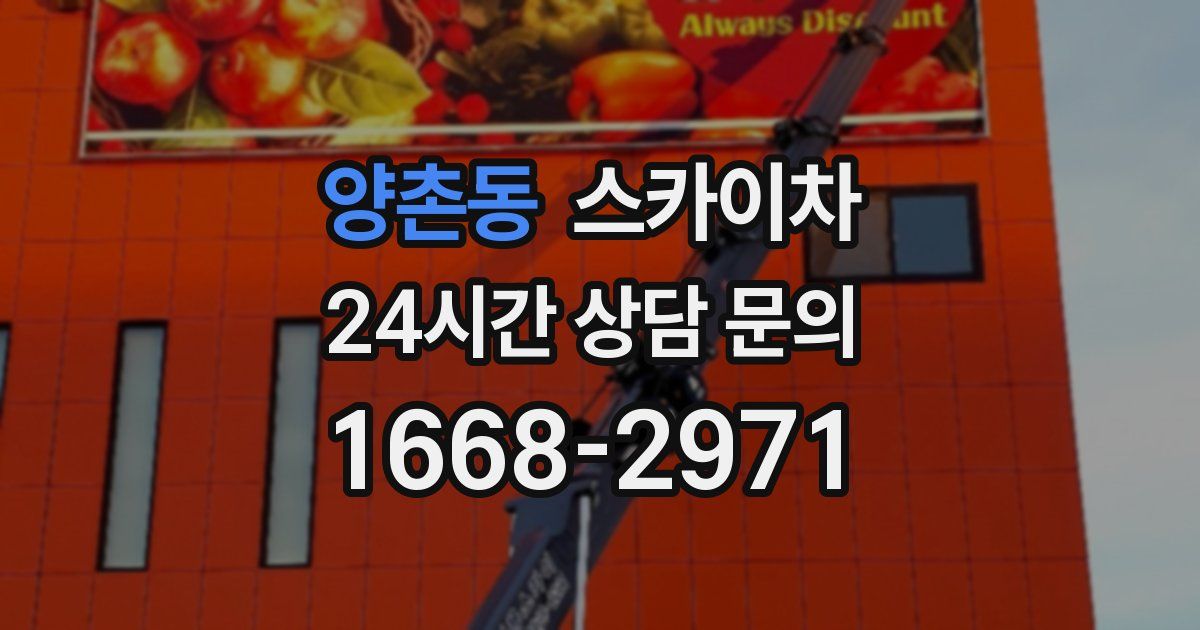 양촌동 스카이차