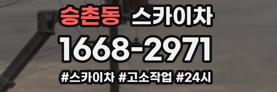 승촌동 스카이차