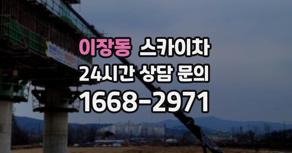 이장동 스카이차