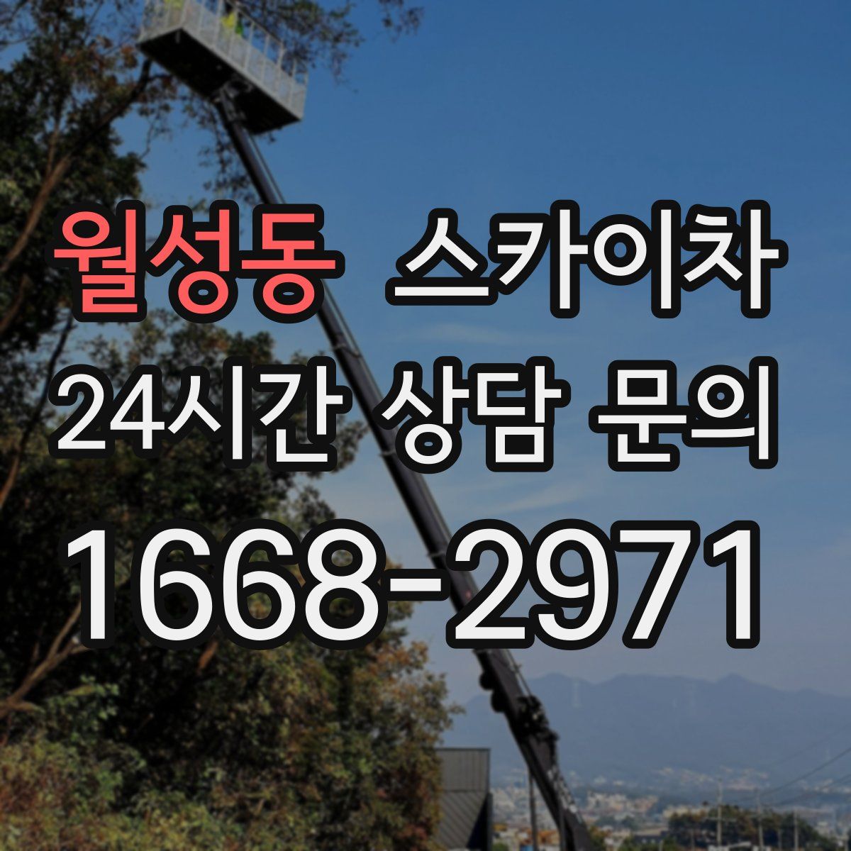 월성동 스카이차