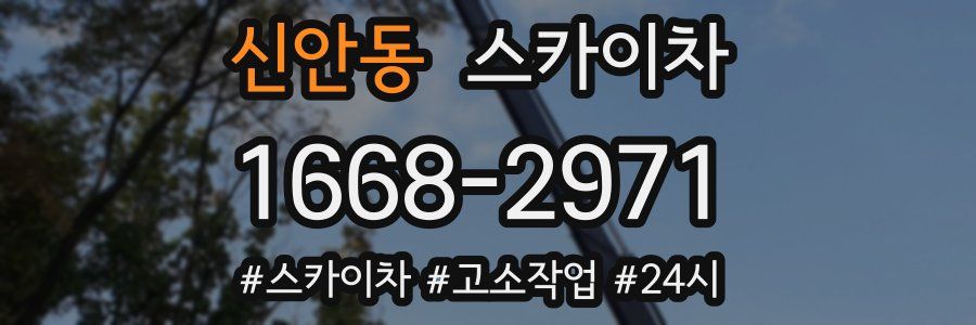 신안동 스카이차