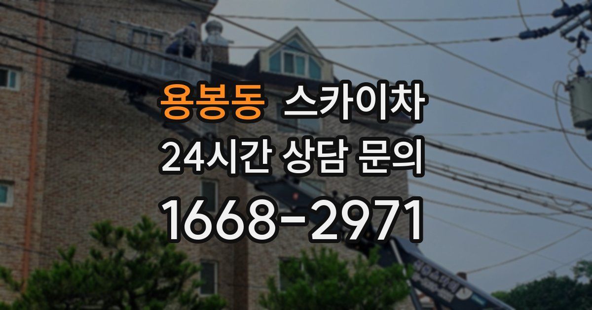 용봉동 스카이차