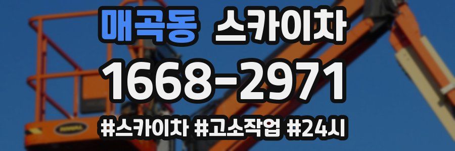 매곡동 스카이차