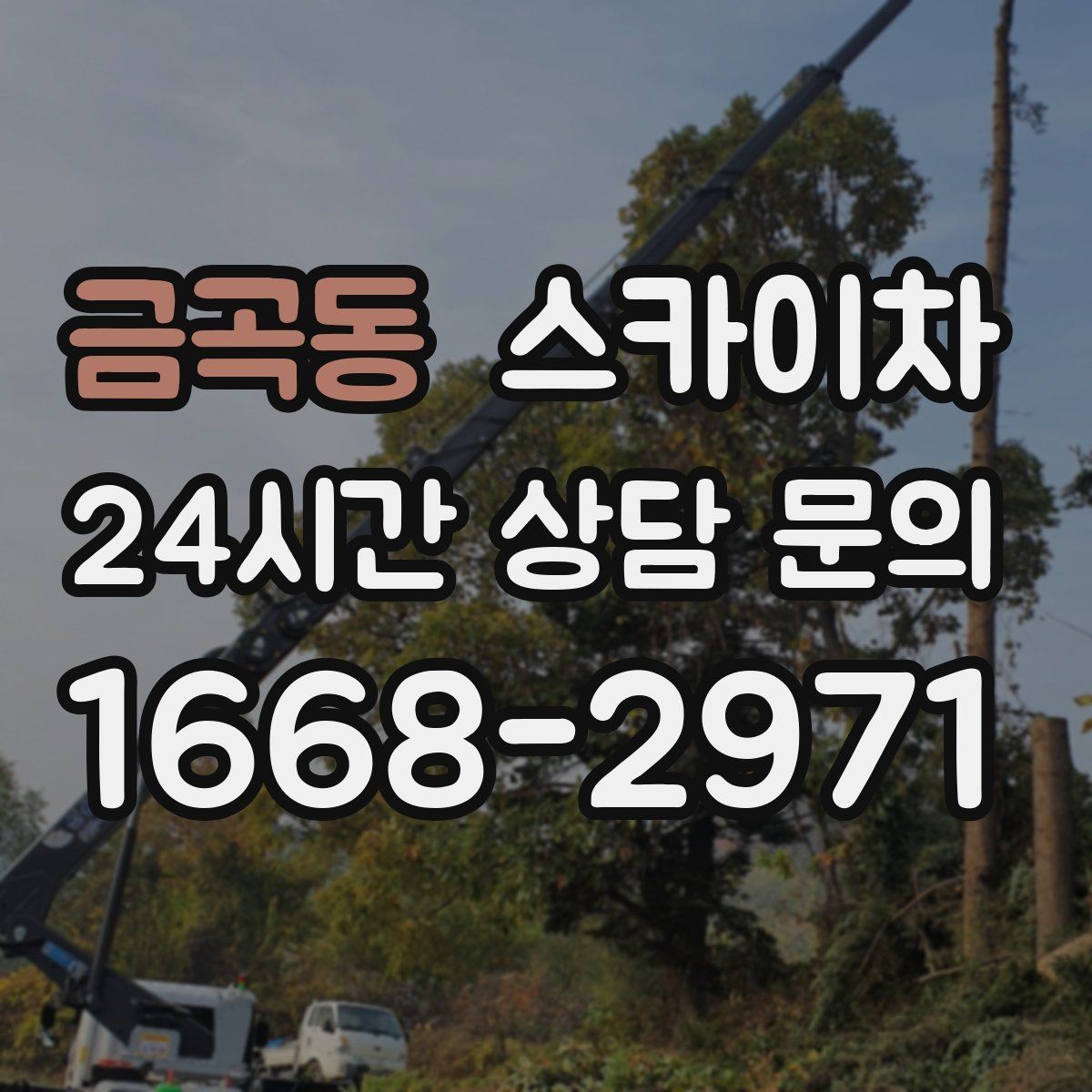 금곡동 스카이차 인터넷 선로 작업이 높은 곳이라면