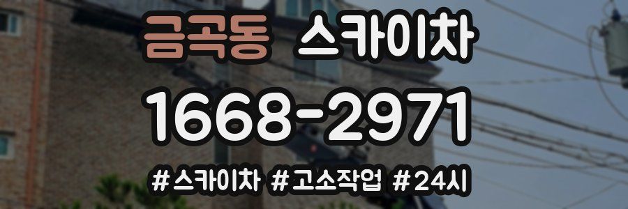 금곡동 스카이차