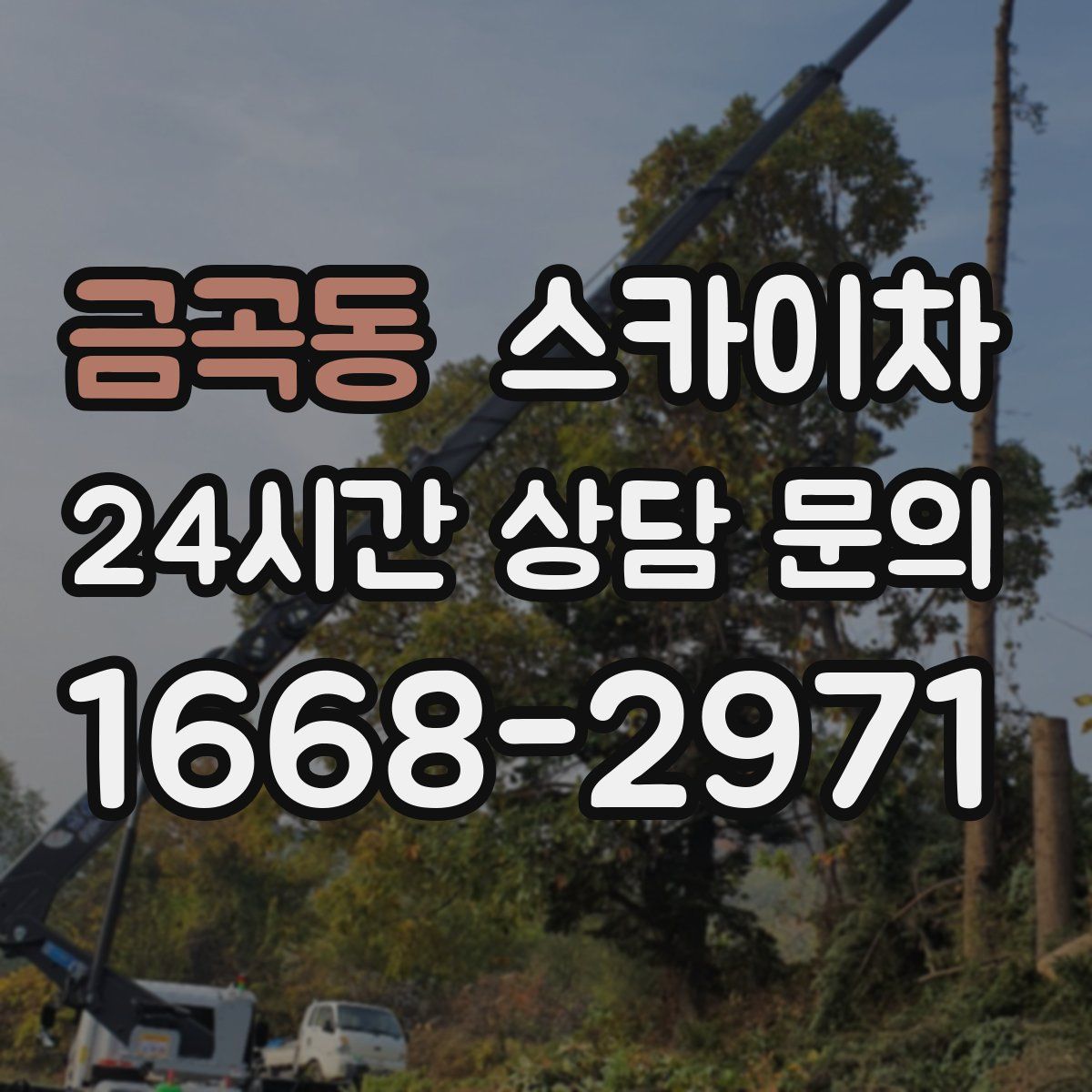 금곡동 스카이차