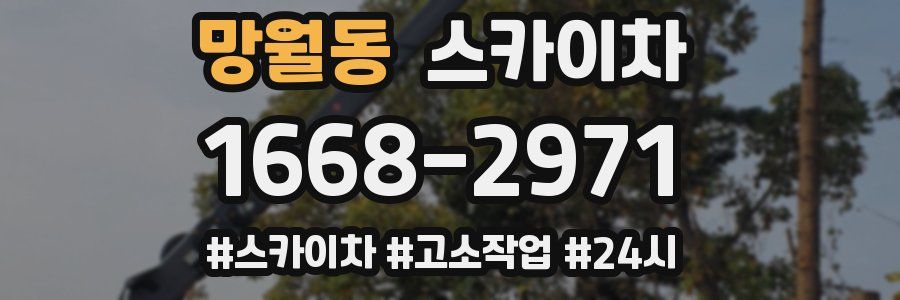 망월동 스카이차