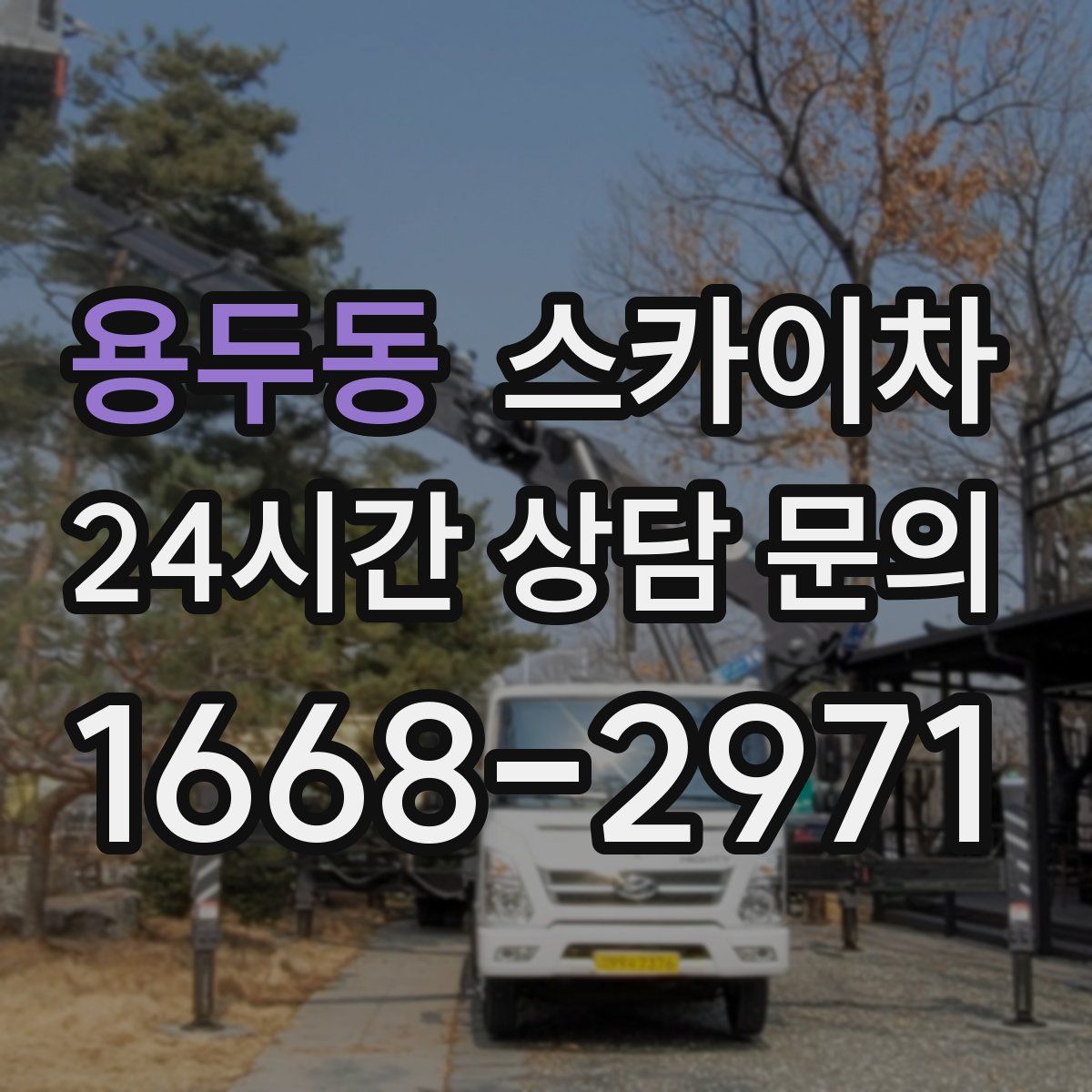 용두동 스카이차