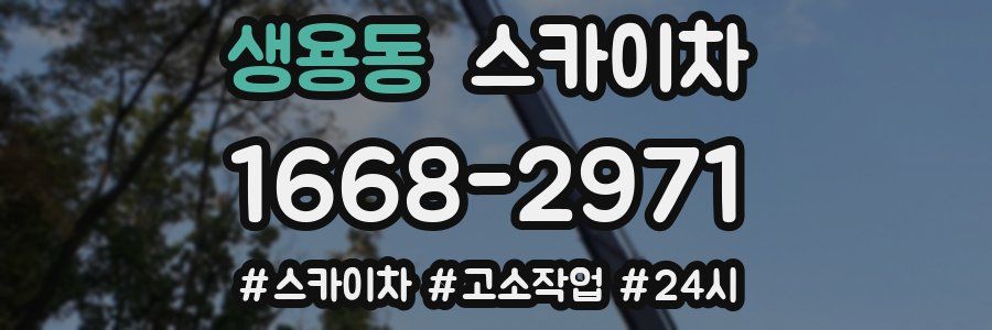 생용동 스카이차