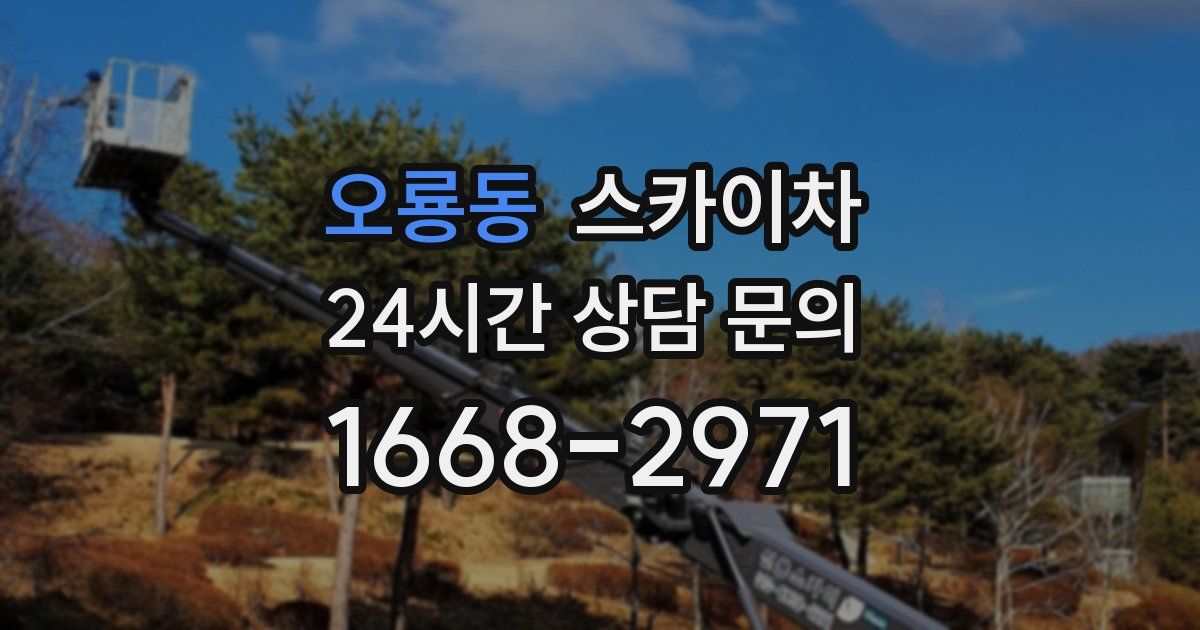 오룡동 스카이차