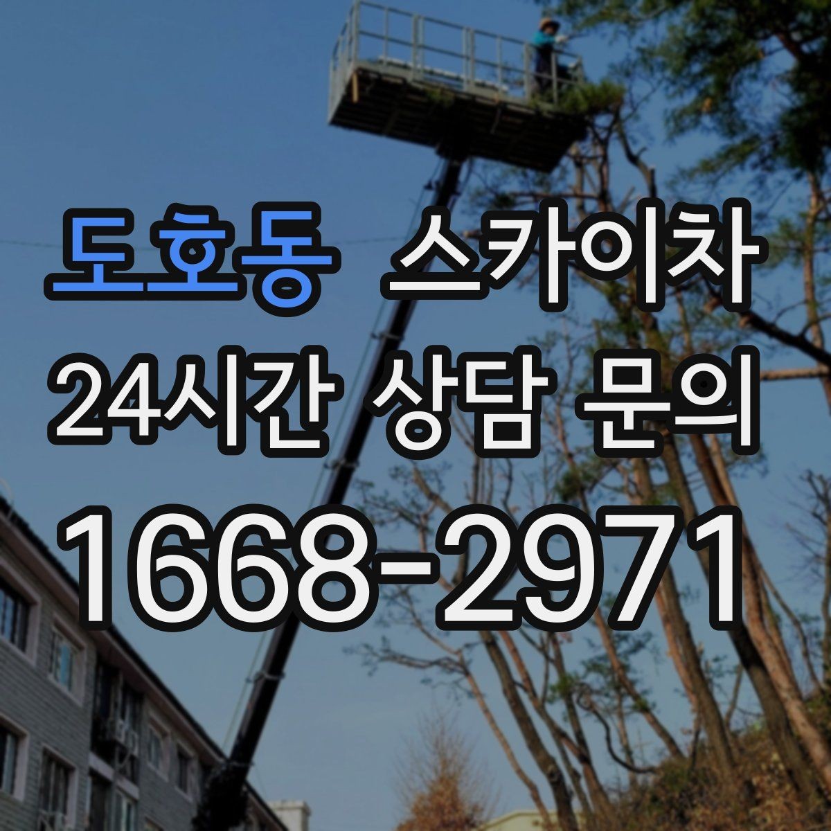 도호동 스카이차 간판 조명 교체로 야간 시인성 높이기