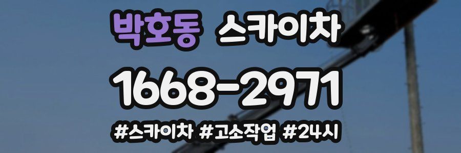 박호동 스카이차