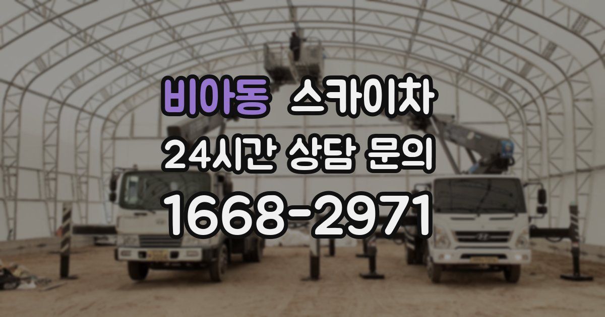 비아동 스카이차