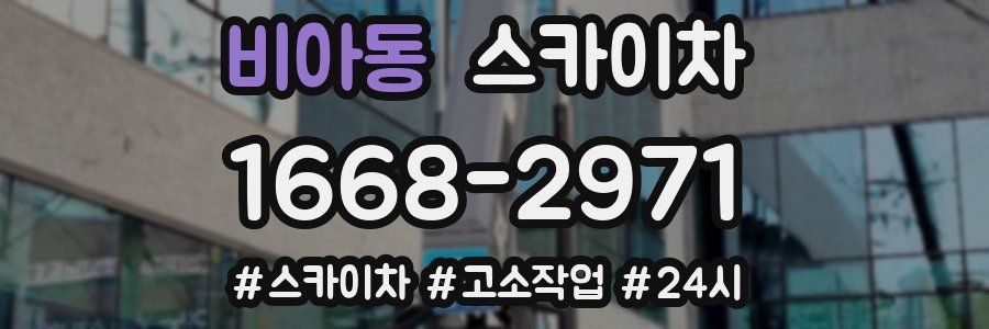 비아동 스카이차