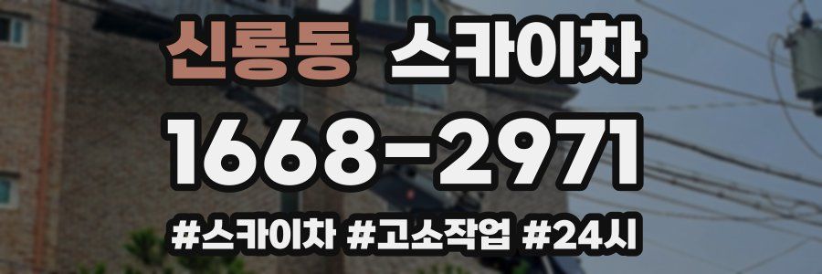 신룡동 스카이차