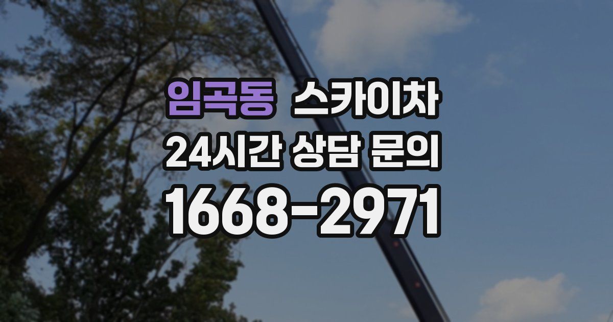 임곡동 스카이차