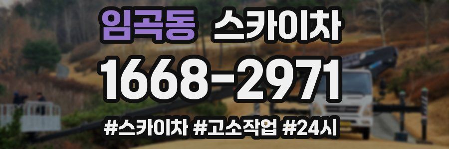 임곡동 스카이차