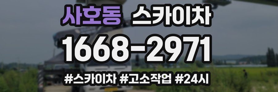 사호동 스카이차