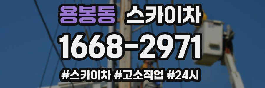 용봉동 스카이차