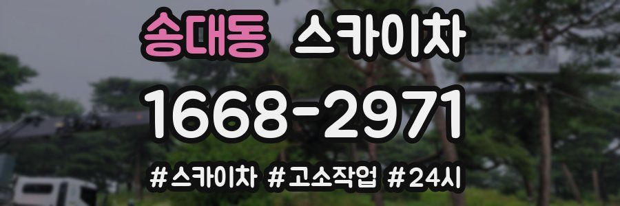 송대동 스카이차